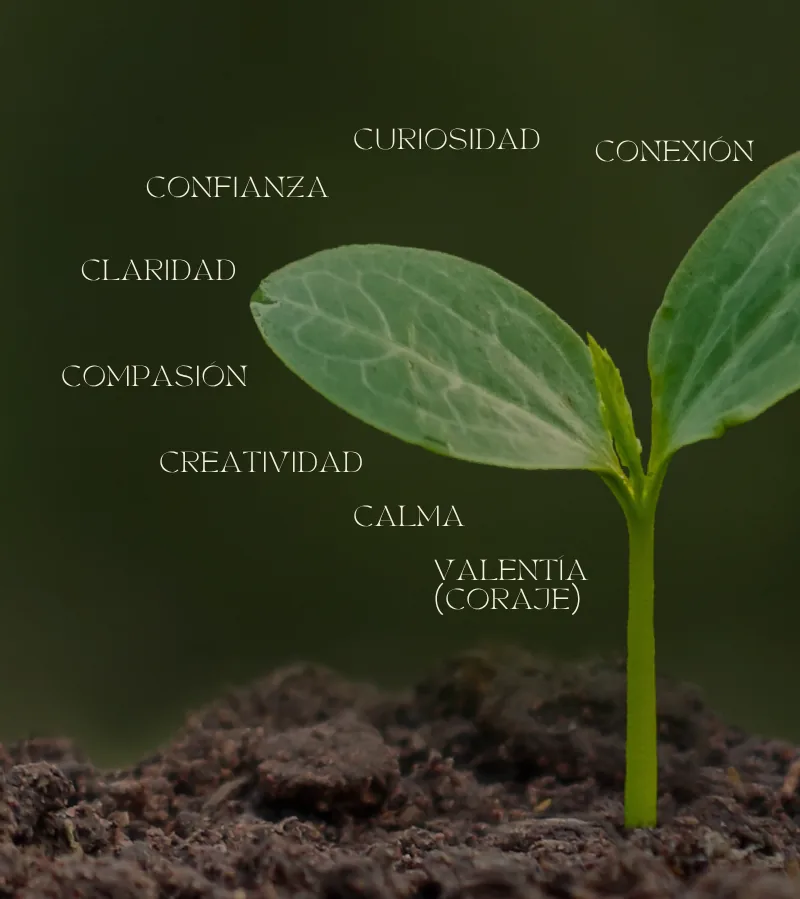Las cualidades del Self en IFS: curiosidad, conexión, confianza, claridad, compasión, creatividad, calma, valentía (coraje).